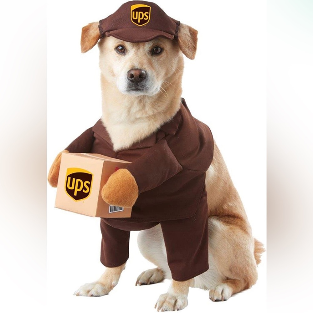 Medium UPS Pal Dog Costume